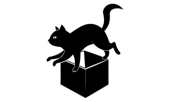 Black Cat Jumping out of Box