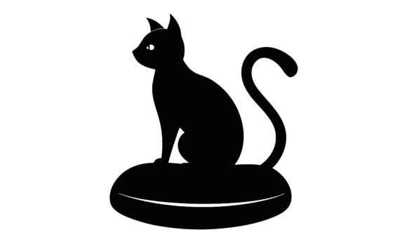 Black Cat Sitting on a Pillow Review