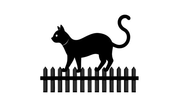 Black Cat Walking on Fence Review